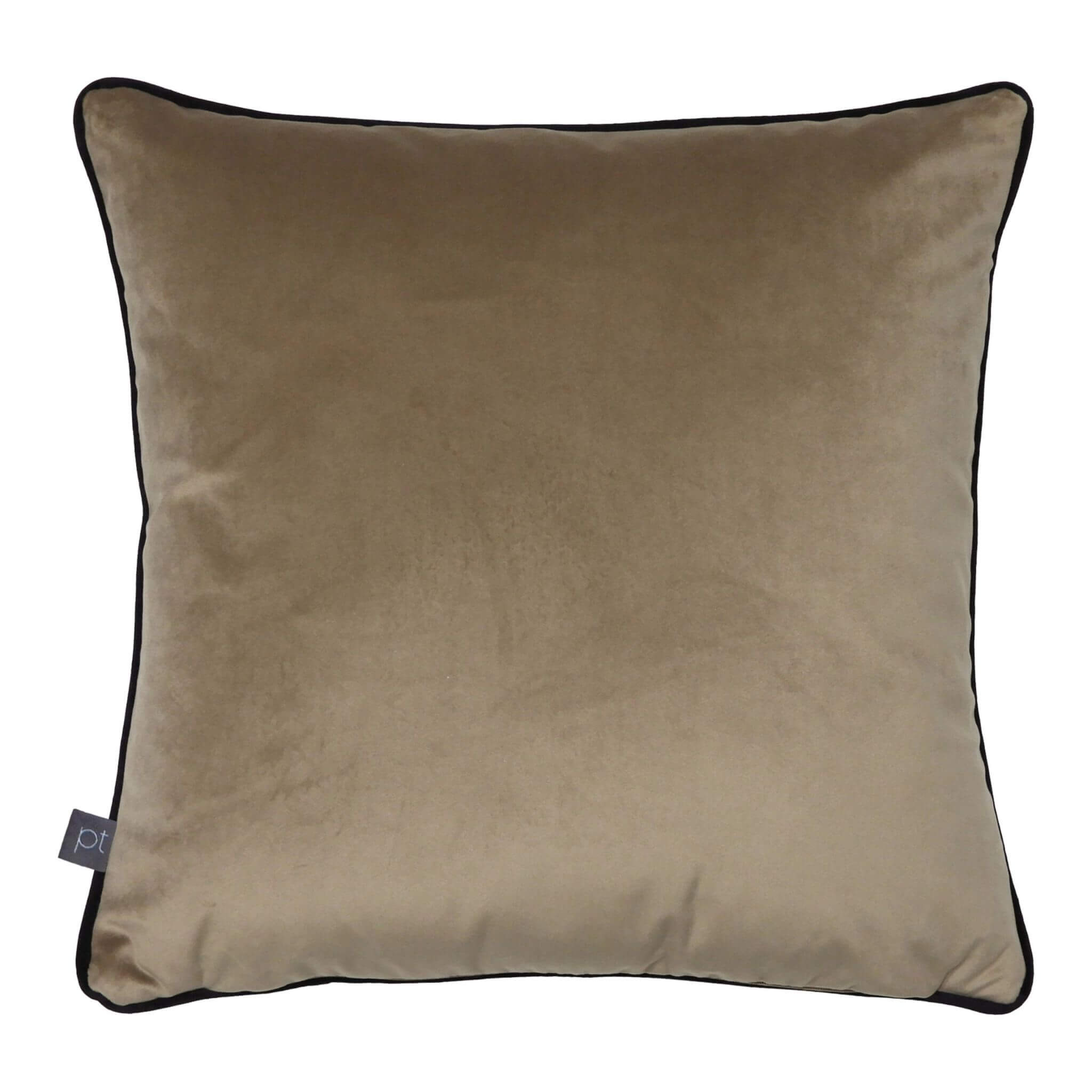 Zebra Cover By Olivia